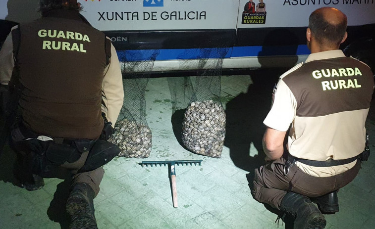 Asestado un nuevo golpe al furtivismo en Boiro con dos identificados y 23,56 kilos de almeja decomisada