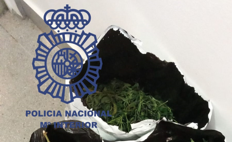 La Policía Nacional se incauta de cuatro sacos de marihuana en Vilagarcía