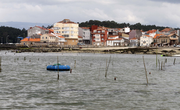 Achacan al vaciado de embalses la drástica caída de salinidad en Carril, que debilita el marisco