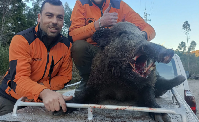 Karsita caza un inmenso jabalí de 150 kilos: “Es un monstruo, en mi vida vi uno tan grande”