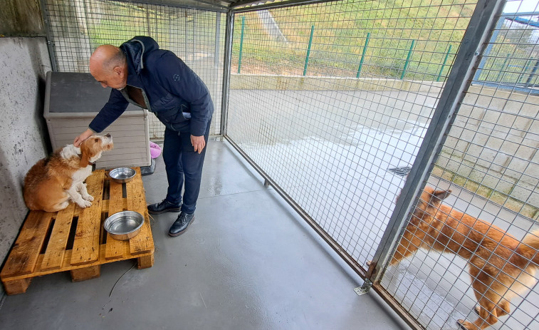 A Pobra destinó unos 25.000 euros a acondicionar su centro de acogida de animales abandonados