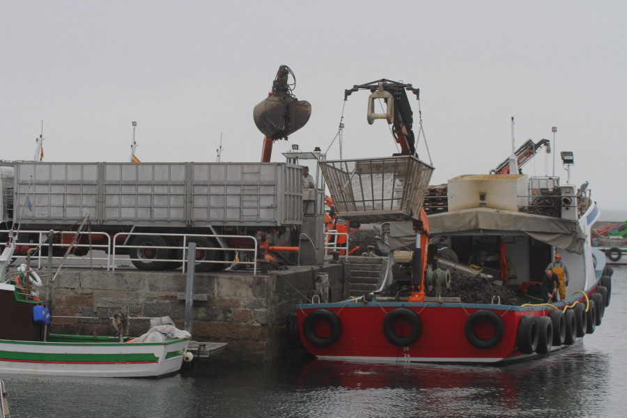 Pescadona inicia los trámites para ocupar una parcela en el puerto de Vilaxoán