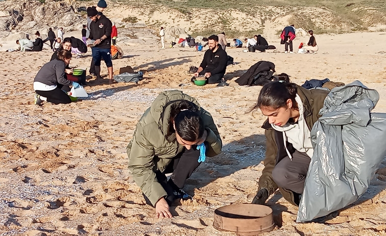 Unos 400 voluntarios acudieron a varias playas de Ribeira a recoger pellets plásticos