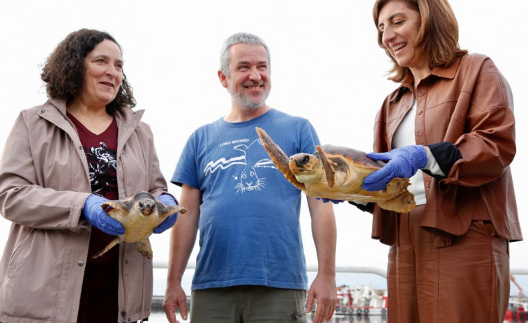 Las tortugas Ibai, Luceira y Lula vuelven a casa