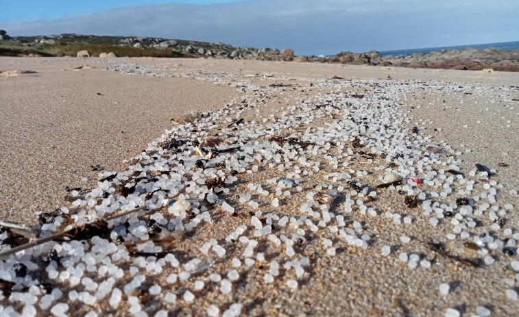 Ribeira aprueba la elaboración de un plan local contra la contaminación marina