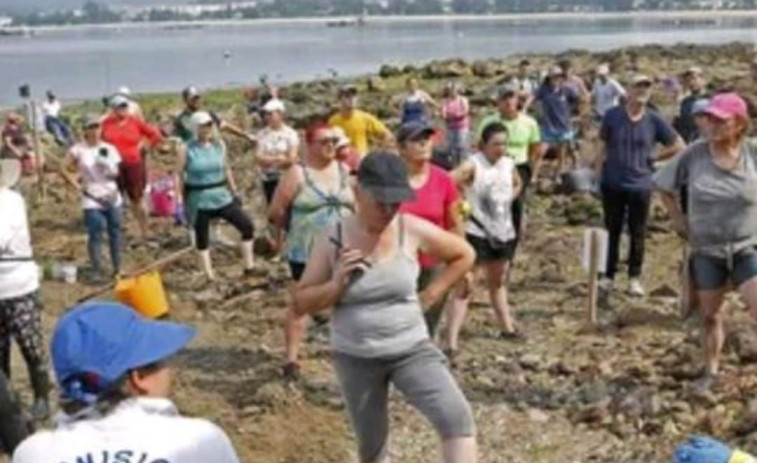 Los mariscadores de a pie crucenses achacan la pérdida de una ayuda de Mar de 150.000 euros “á mala xestión” de la Cofradía