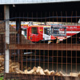 Los equipos de emergencia, en la empresa maderera de Vilanova en la que se produjo el accidente mortal @ Mónica Ferreirós