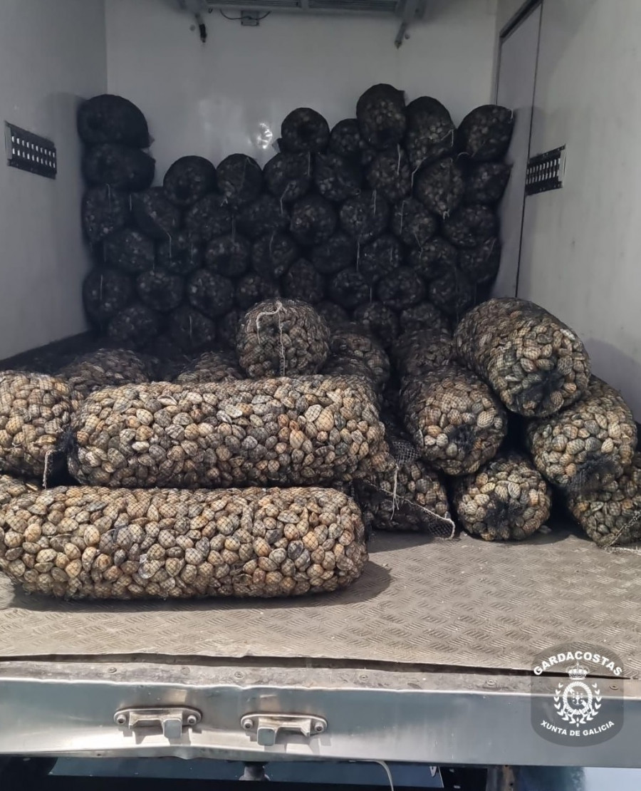 Decomisan 1.674 kilos de almeja japónica procedente de Portugal en O Grove