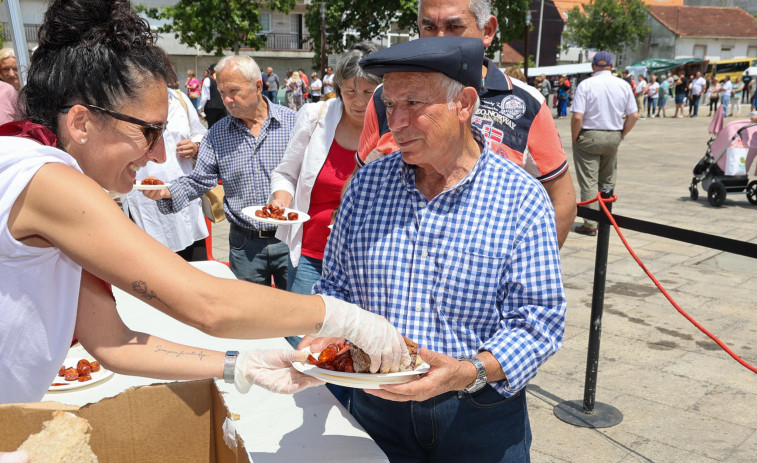 Ribadumia busca trabajadores para la Festa do Tinto