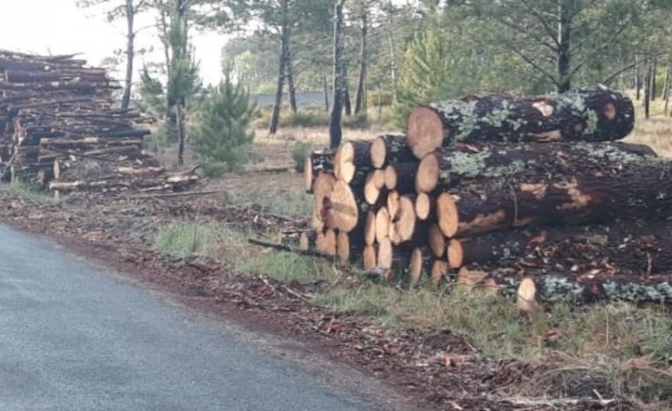 Comuneros de Olveira se plantean una querella a Medio Ambiente por la ocultación de datos de talas de madera