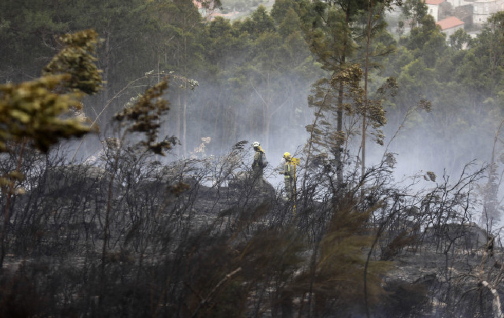 Un incendio calcina más de 20 hectáreas en A Cañiza