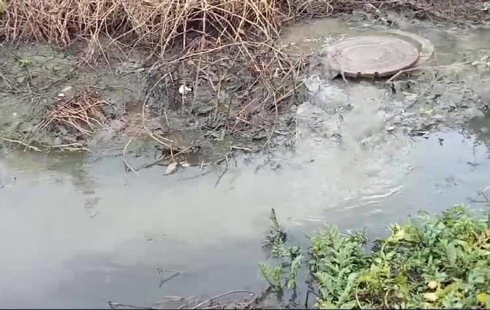 Denuncian un vertido de aguas fecales procedente de la red municipal en un regato que desemboca en el río de Artes, en Ribeira