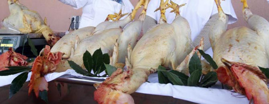 MEIS - El Concello impulsa el “II Mercado de Nadal do Galo de Curral” para la venta de aves criadas de forma artesanal
