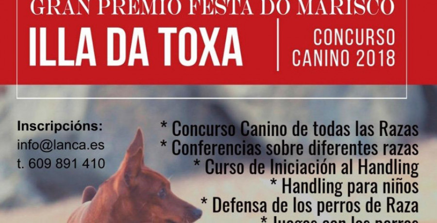 El X Concurso Canino se celebra desde hoy en A Toxa con más de 250 perros