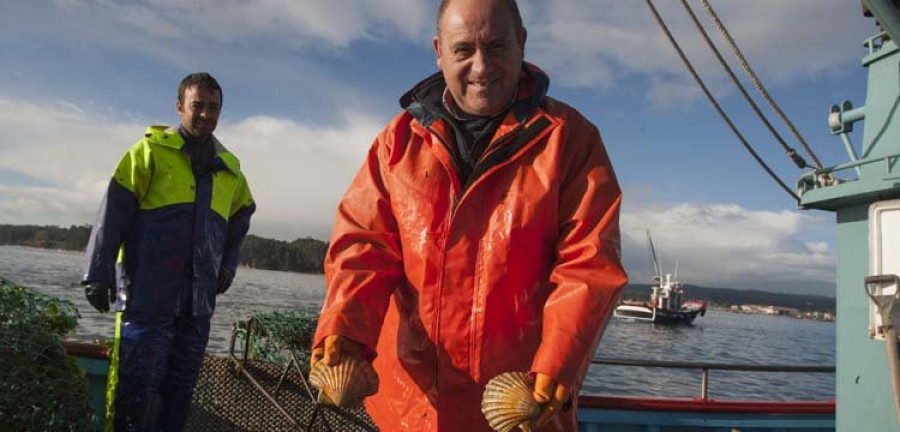 La campaña de la vieira arranca con 2.158 kilos pero no completa cupos en dos barcos