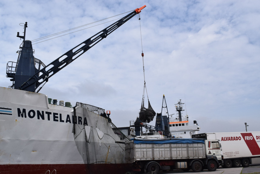 Estibadores de Ribeira y A Pobra piden la reubicación del almacenaje de los contenedores de pescado congelado