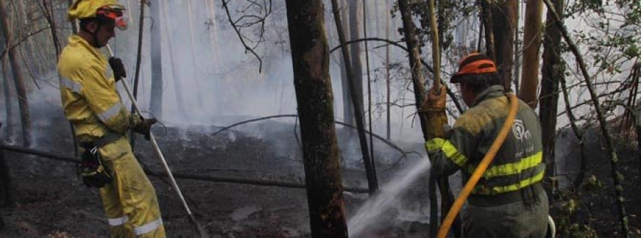 La Mancomunidad inicia las gestiones  para reeditar las brigadas contra incendios