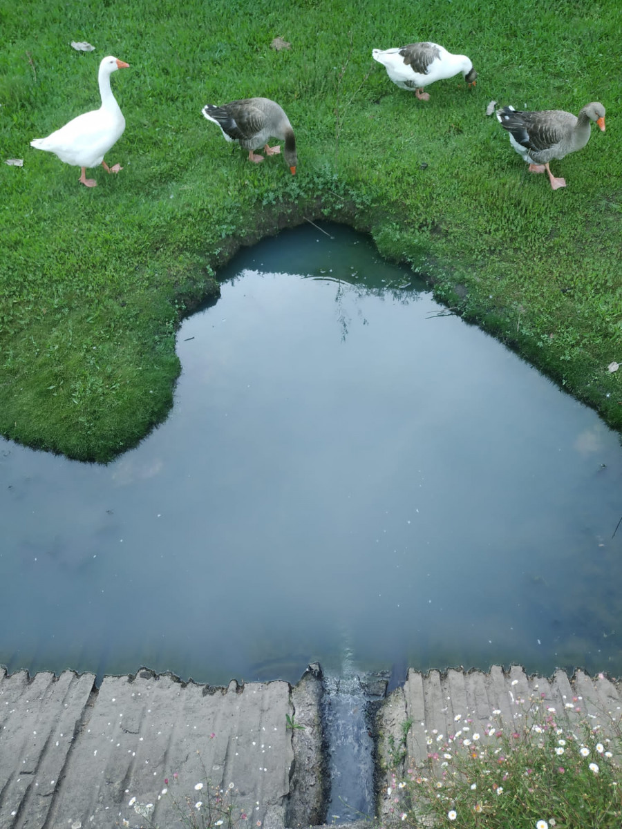 El río de O Con registra un nuevo vertido a su paso por A Xunqueira