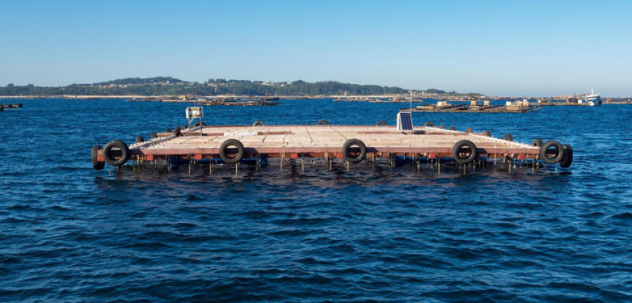 Idean un modelo de batea construido con un material más resistente y duradero