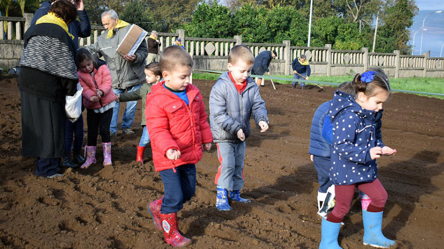 Niños y mayores comparten tradiciones y recrean la “sementeira” del trigo en Ferreirós