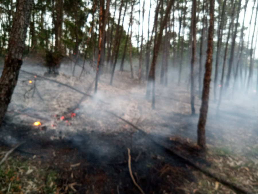 Un incendio forestal calcina unos 600 metros cuadrados de zona arbolada en el lugar pobrense de Portocarro