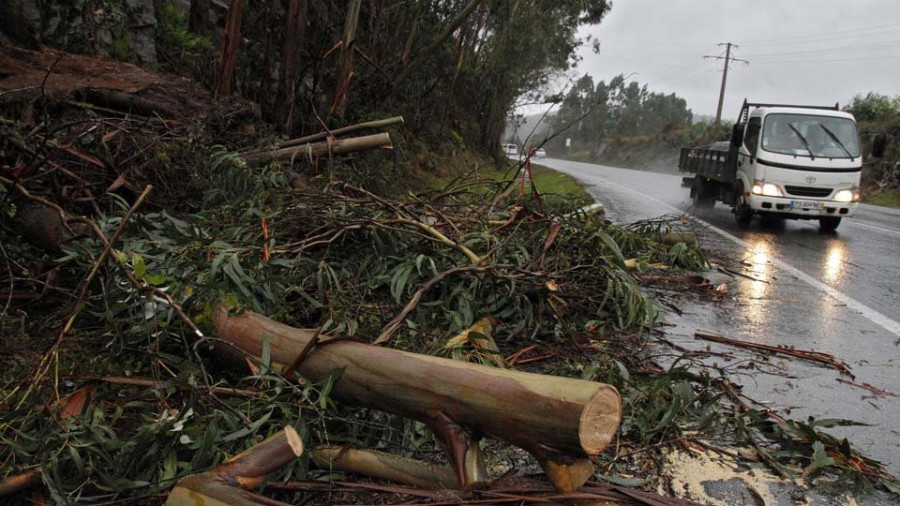 Árboles caídos, bolsas de agua y toldos desgarrados por el viento y la lluvia en Vilagarcía
