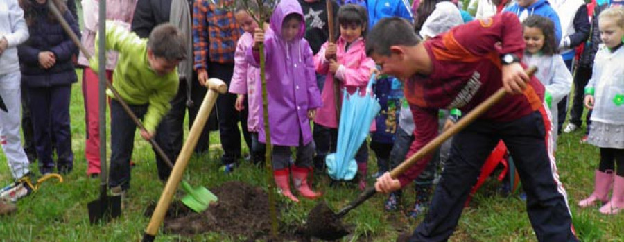 BOIRO - Plantan árboles autóctonos en el colegio de Escarabote