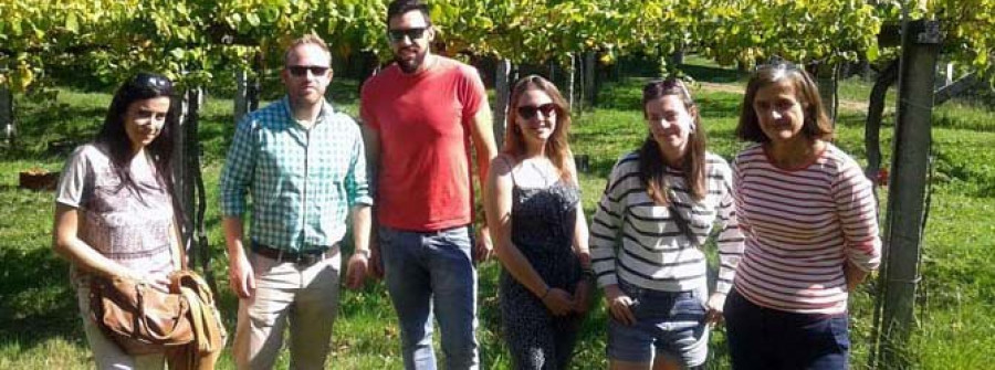 La Xunta ve el fin del conflicto del precio de la uva en 2016 con el contrato homologado
