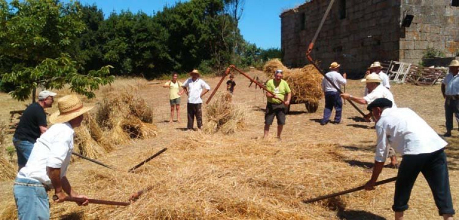 Calurosa y participativa Festa da Malla en San Vicente