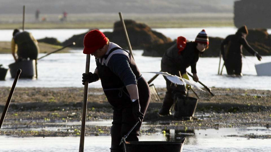 O Grove colabora con el GALP en programas de educación ambiental sobre la Ría de Arousa