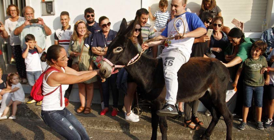 Reportaje | “Felipe” logra dos bronces en 
una carrera de burras con nuevos bólidos