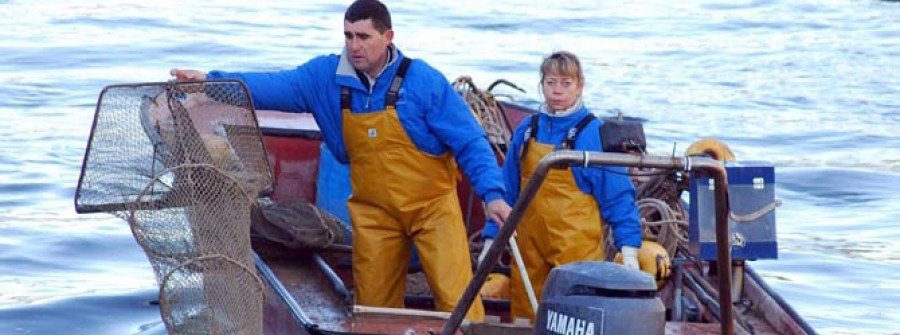 PONTECESURES-Cuatro barcos estrenan la campaña de la lamprea al mejorar la situación del Ulla