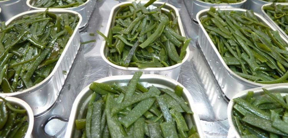 Las algas podrían ser la base de la alimentación del futuro