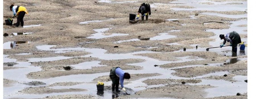 La Consellería do Mar covoca 15 nuevos permex para el marisqueo a pie en la Cofradía de Cabo de Cruz