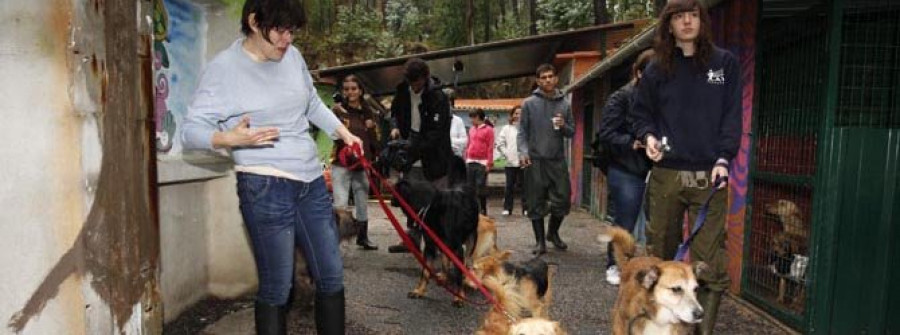 El Refugio proyecta un hotel para mascotas y una granja educativa en la zona de Refoxos