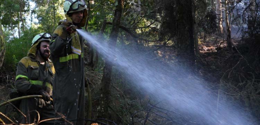 Los comuneros de San Vicente concentran 16 hectáreas para prevenir incendios forestales