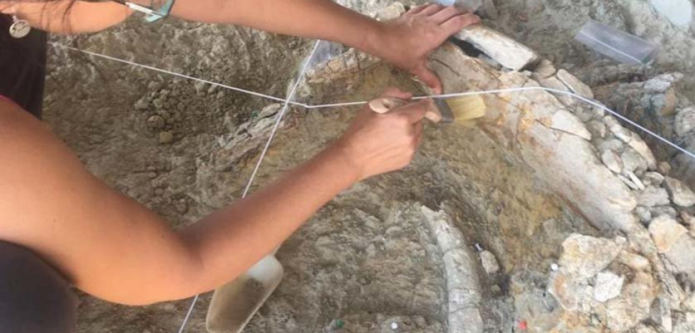 Encuentran restos de mamut de hace un millón de años