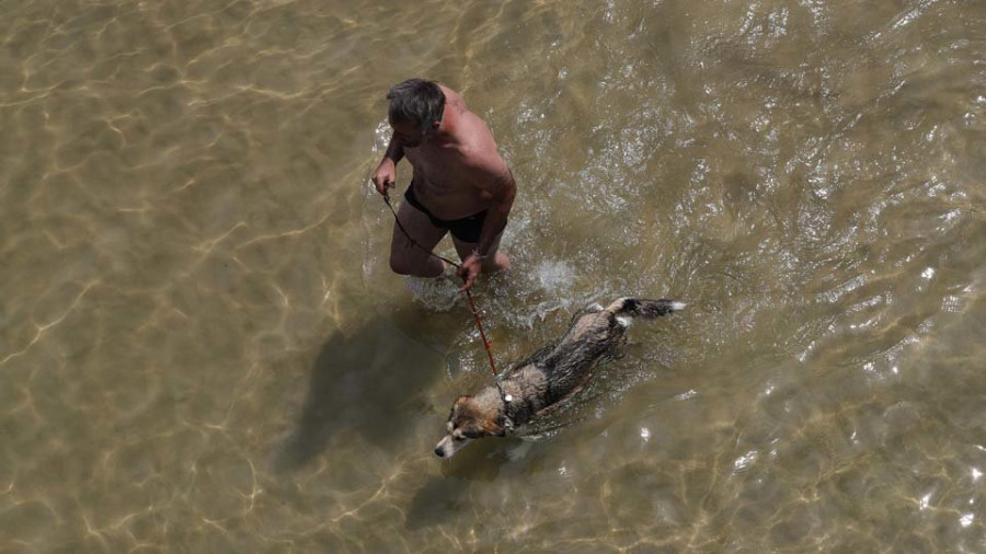 O Grove logra ser el mejor destino  de España para viajar con perros