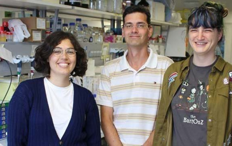 Un mecanismo cerebral abre la puerta a curar el hígado graso