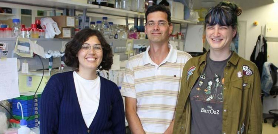 Un mecanismo cerebral abre la puerta a curar el hígado graso
