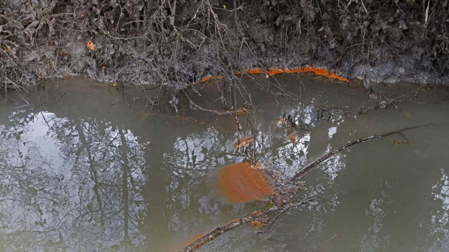 El río Umia sufre un nuevo vertido de escabeche en  la zona de Cabanelas