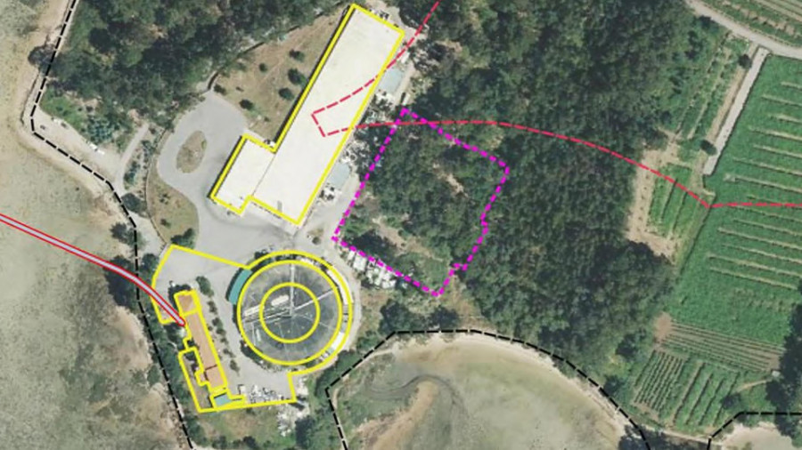 Aquacría tramita la ampliación de su planta de cría de lenguado en Castrelo