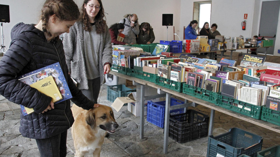 El CAAN rompe su récord de adopciones con 457 perros entregados