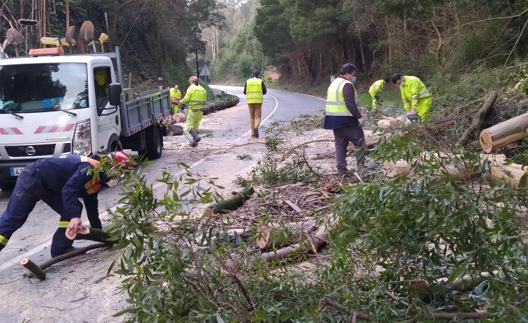 El vial de A Tomada a Moldes estuvo cortado 18 horas por árboles caídos