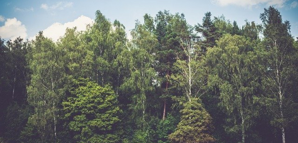 Alquiler de furgonetas, las razones por las que te interesa