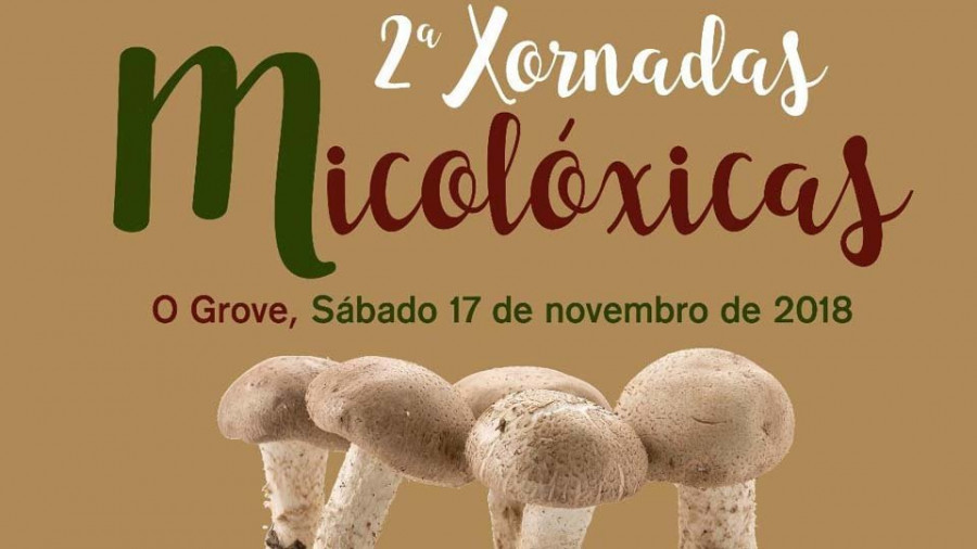 Las II Xornadas Micolóxicas incluyen una exposición y un showcooking con Paco Caneda