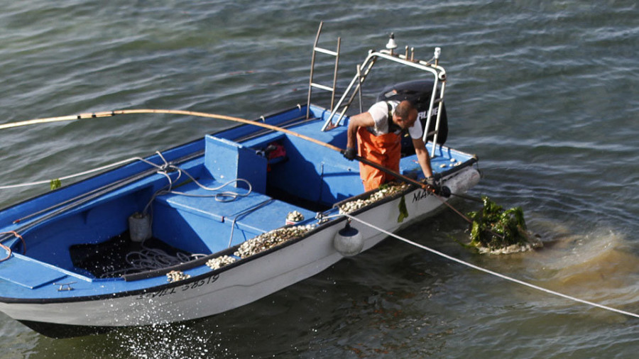 Rañeir@s denunciará ante Mar a los barcos que faenen en el libre marisqueo sin estar integrados en su plan