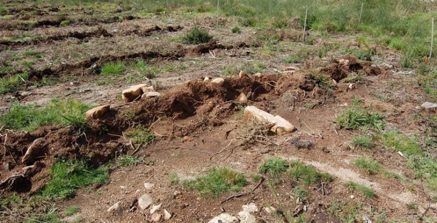 Denuncian daños en una mámoa de Xiabre por una obra forestal