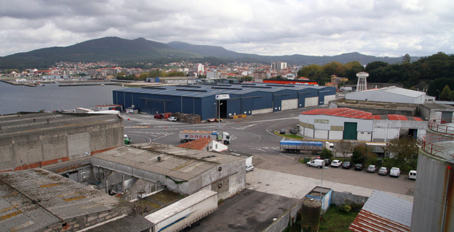 El quinto plan de limpieza de Portos retira 63 toneladas de residuos de 15 muelles gallegos