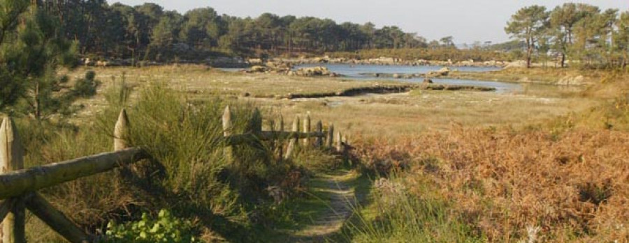 A ILLA - El Concello proyecta una ofensiva contra las plantas invasoras en O Carreirón